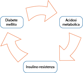 Acidosi, insulino-resistenza, rischio-cardiovascolare: un circolo vizioso